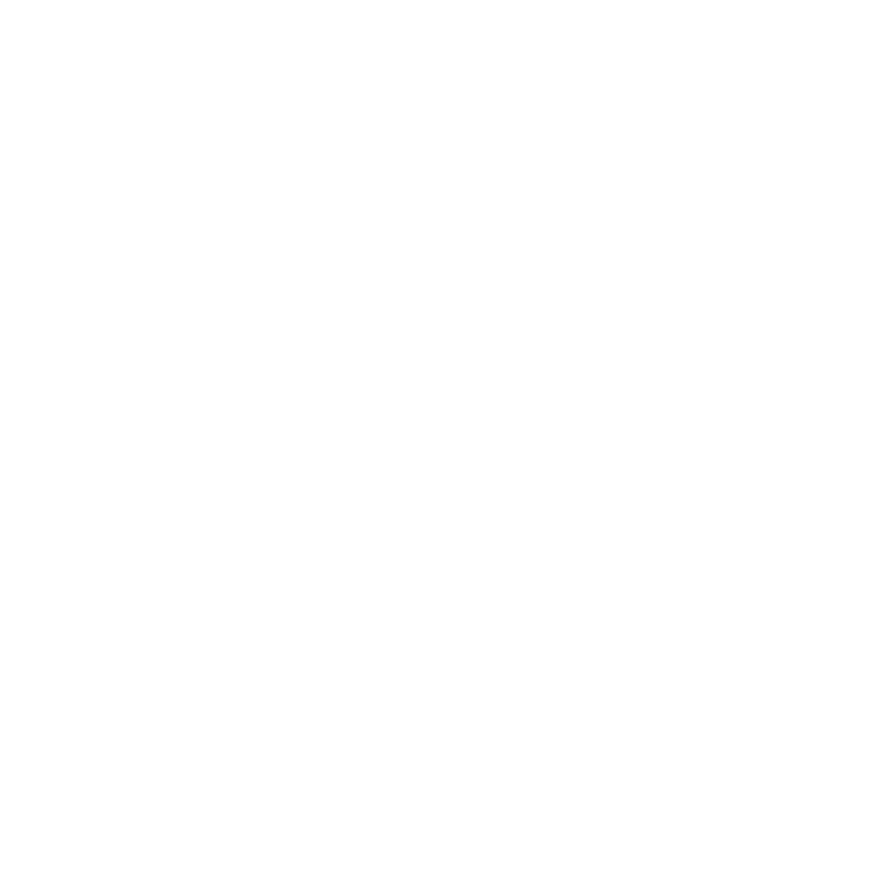 Logo de l'osteopathe Nina Solarinne.